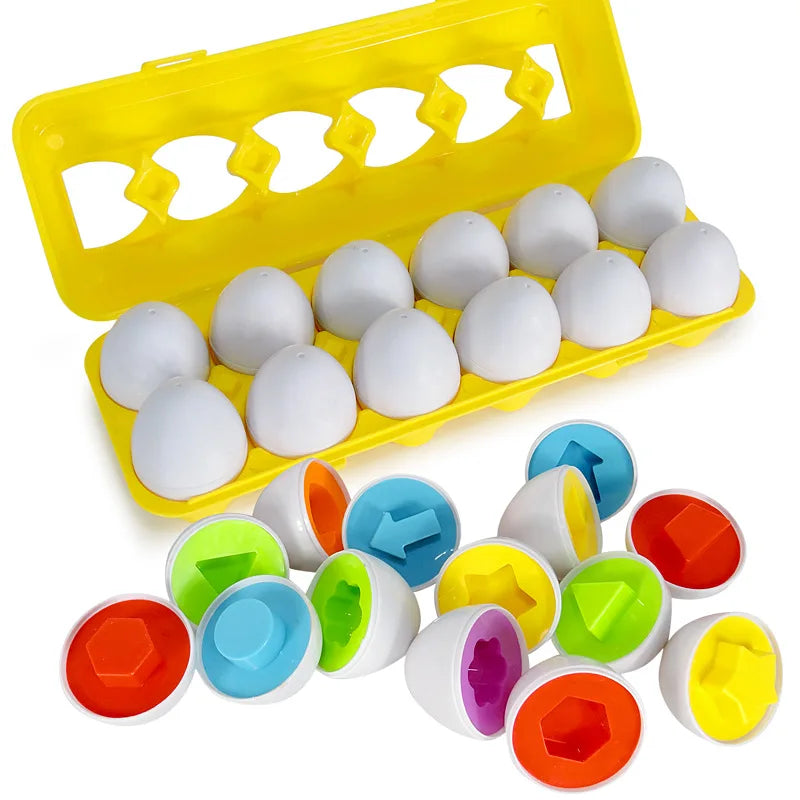 12 eggs random shape educational toy