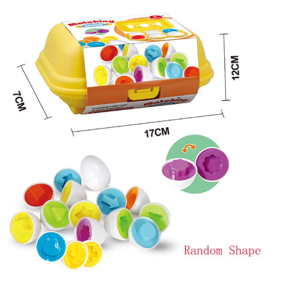 6 random shape eggs educational toy