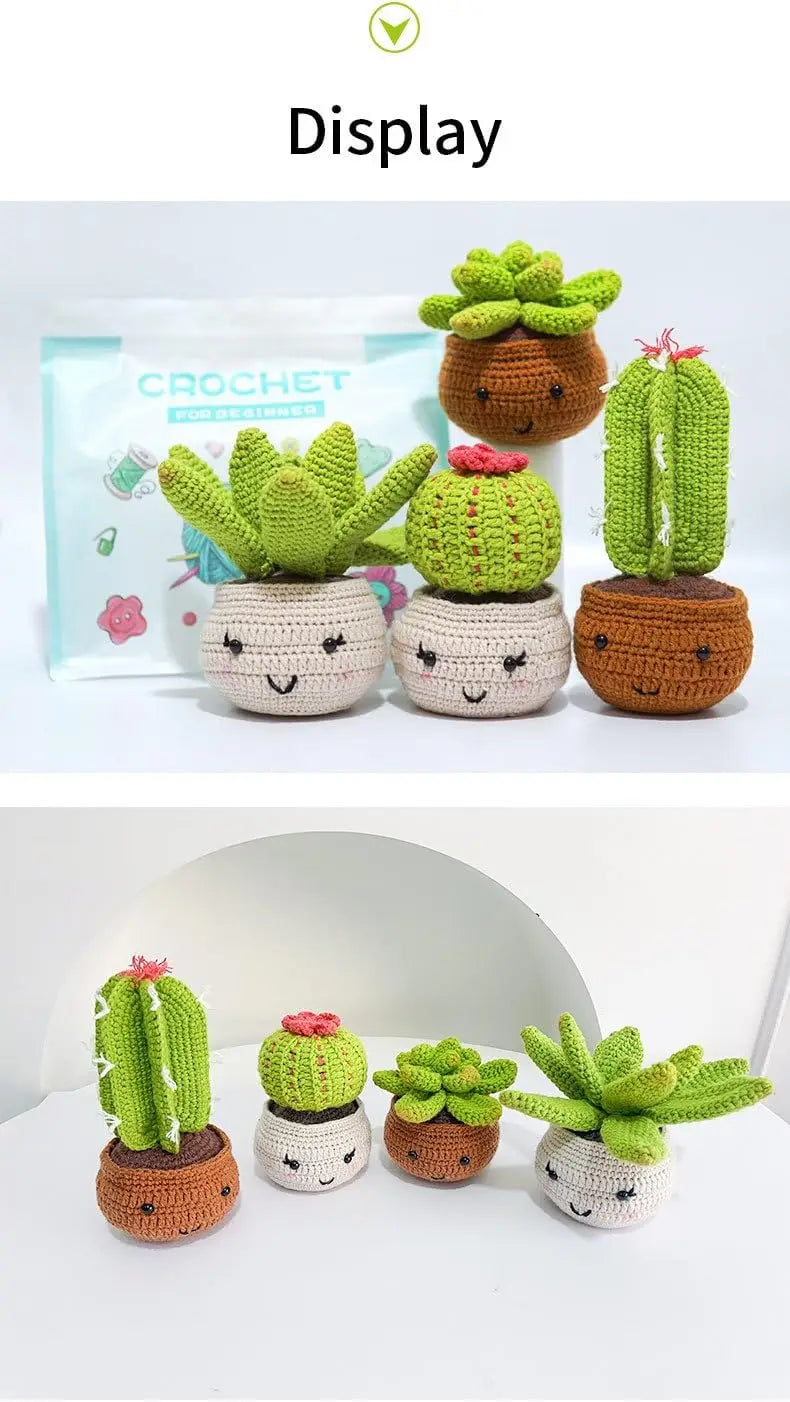 Crochet Plant Kit