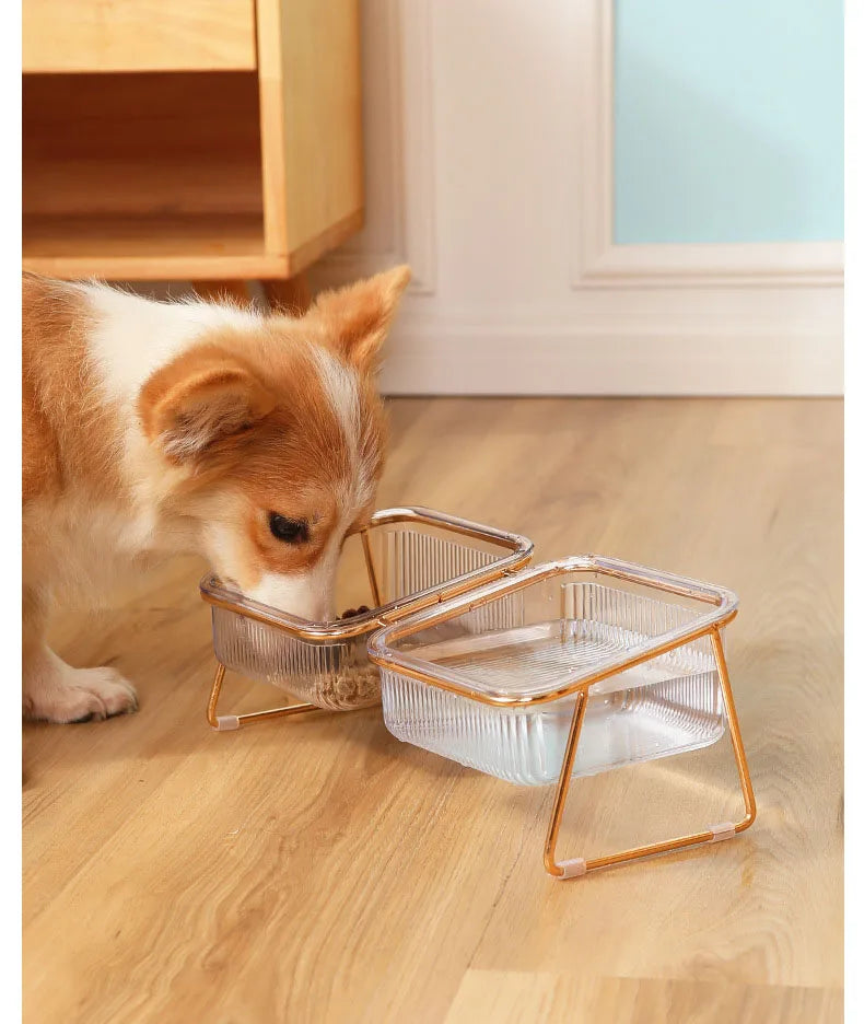 Luxury Stylish Transparent Pet Water Bowl