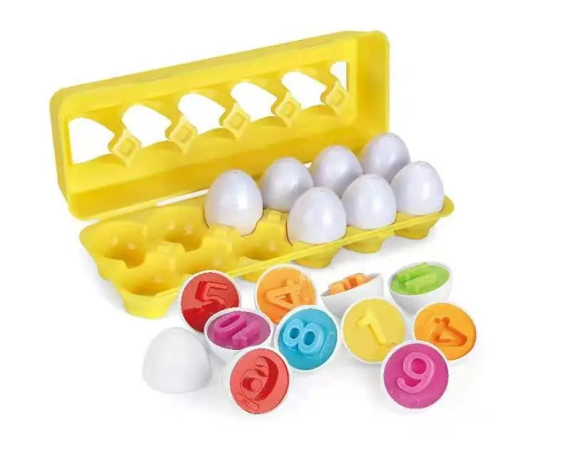 numbers eggs educational toy