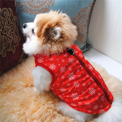 snowflake small dog coat